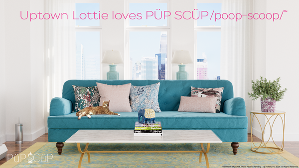Neat and tidy uptown living with hidden pet litter scoop container