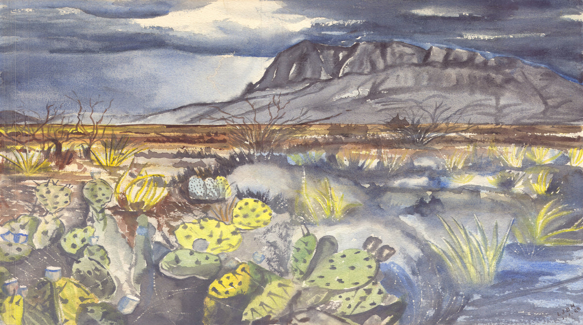 watercolor print for SCÜPskin™ Deco-Sleeve of a strong thunderstorm in Arizona for PÜP SCÜP™ litter scoop holder