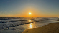 calming Atlantic Beach NC sunset image as SCÜPskin™ Deco-Sleeve for PÜP SCÜP™ litter scoop caddy