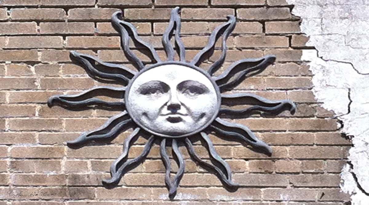 Funky black rose sun on brick wall SCÜPskin™ Deco-Sleeve for patented PÜP SCÜP™ litter scoop caddy