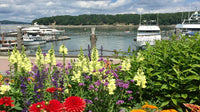 vibrant Booth Bay Harbor Maine SCÜPskin™ Deco-Sleeve for PÜP SCÜP™ litter scoop holder system. 