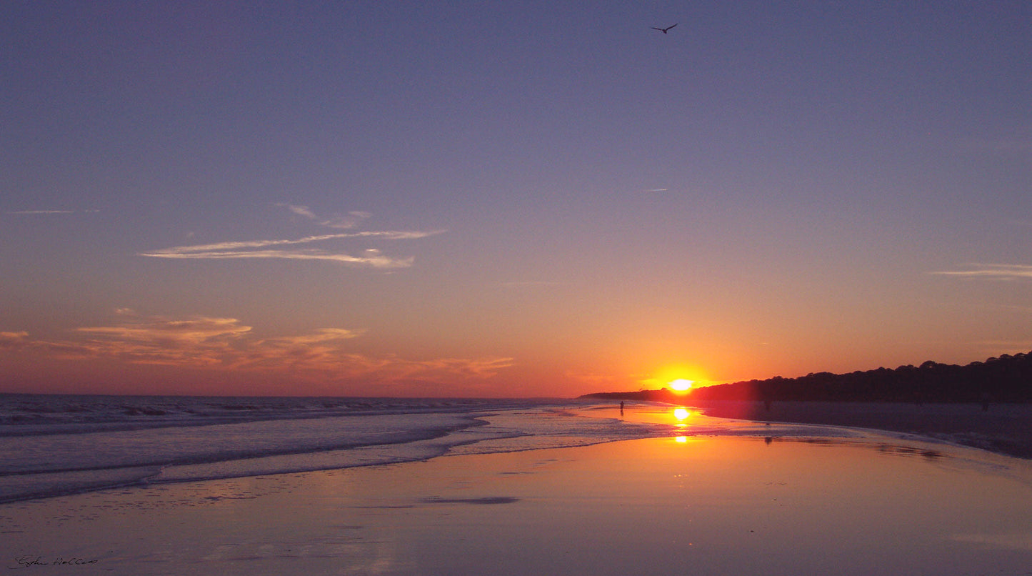 Lovely photograph of a sunset at Sea Pines, SC as a SCÜPskin™ Deco-Sleeve for the PÜP SCÜP™ litter scoop holder.