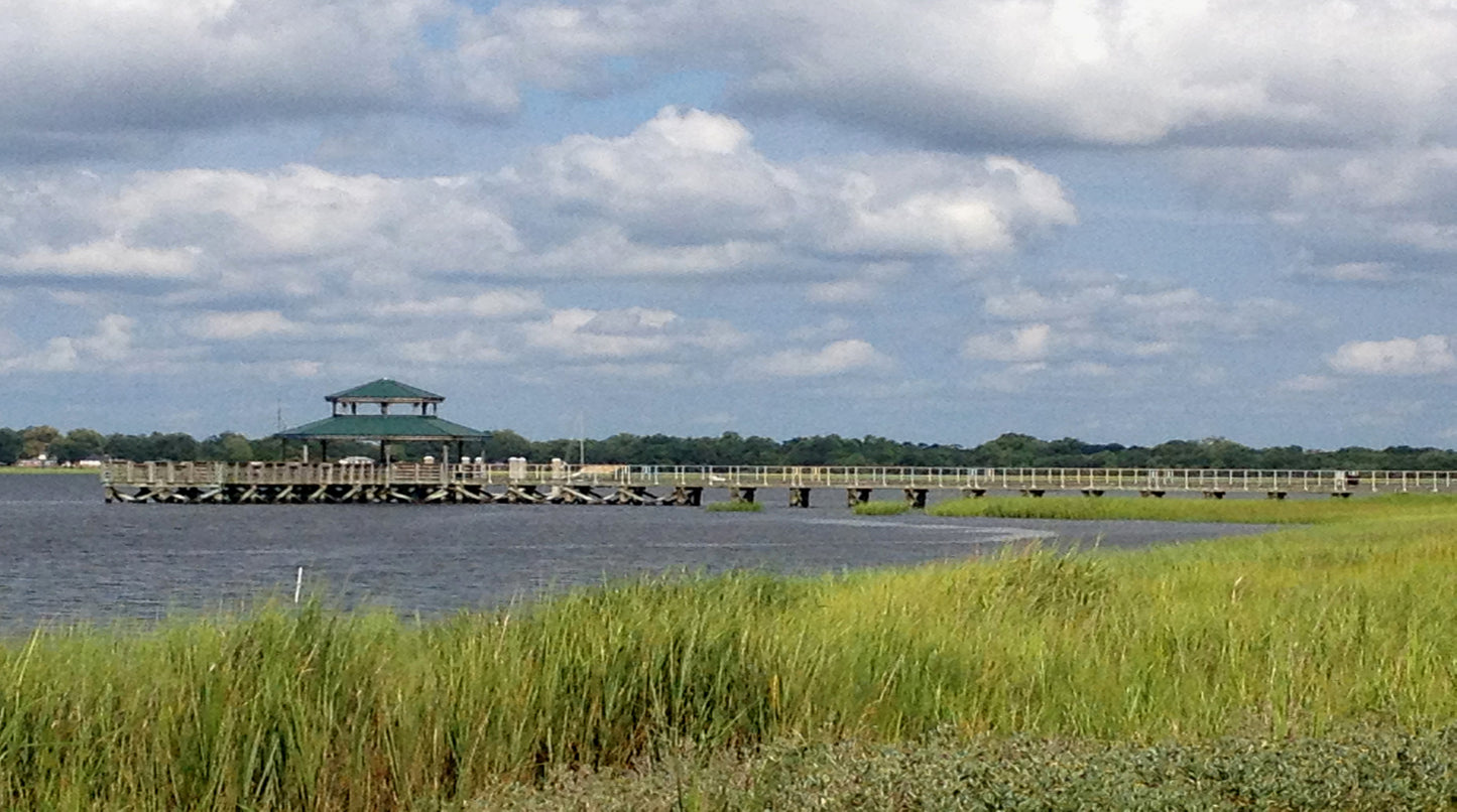 Summertime in Charleston Ashley River Pier SCÜPskin™ Deco-Sleeve for patented PÜP SCÜP™ litter scoop caddy